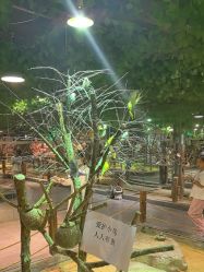 -酷嗒动物文化乐园(cutezoo西溪乐天城店)