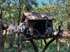 -北京野生动物园