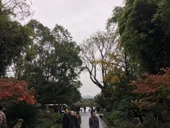 -邓小平故里