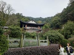 -十八棵（老龙井）御茶园(老龙井店)