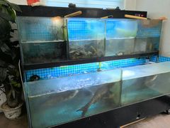-翠茗农庄土菜馆(天目湖店)