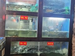 -秀水人家
