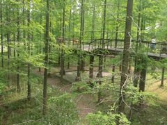 -黄海国家森林公园