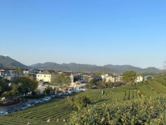-龙坞茶村