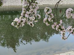 -海棠花溪(元大都城垣遗址公园)
