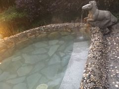 -山湖温泉