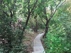 -棋盘山风景区