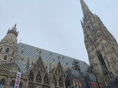 -斯蒂芬主教座堂(Stephansdom)
