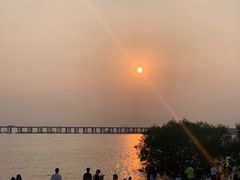 -宝安西湾红树林湿地公园