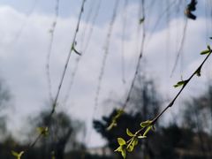 -沐仙湖湿地公园