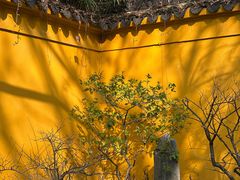 -西园戒幢律寺