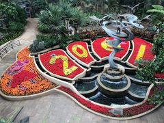 -南山植物园