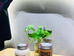 -素匠泰茶(三里屯SOHO工体奶茶店)