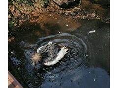 -济南野生动物世界