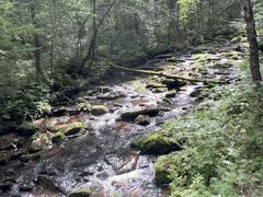 -汤旺河林海奇石景区