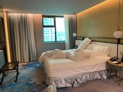-沈阳丽都酒店