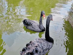 -昆明动物园