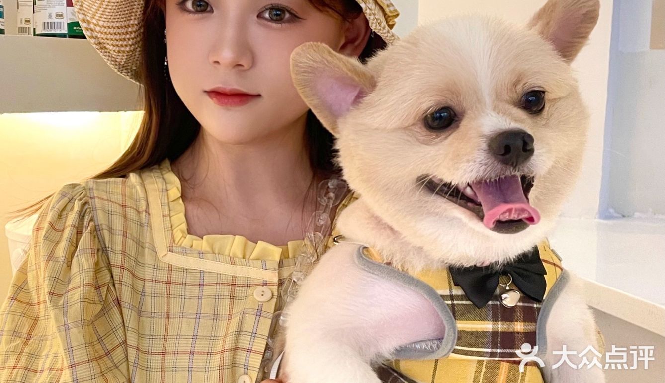 重庆探店丨重庆宠物店天花板罐头还五折❗🐶