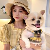 重庆探店丨重庆宠物店天花板罐头还五折❗🐶