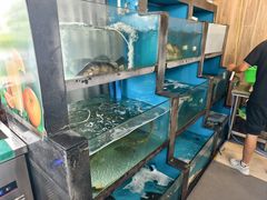 -品鲜村农家菜·阳澄湖大闸蟹(总店)