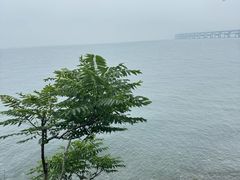 -银沙滩浴场