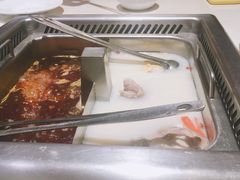 -海底捞火锅(龙岗星河COCO Park店)
