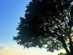 -火炉山森林公园