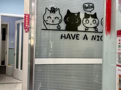 -纳吉亚猫专科动物医院博雅分院
