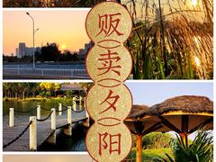 -中澳友谊花园