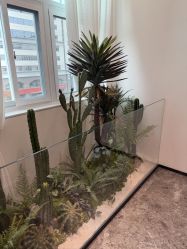 -韩辰医疗美容医院