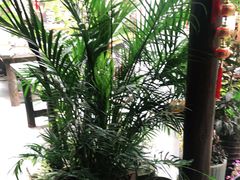 -尽善百年古院餐厅(王家老宅店)