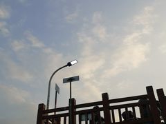 -高东镇樱花园