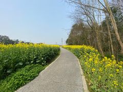 -桤木河湿地公园