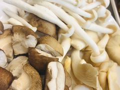 -古乐牛香·鲜牛肉牛杂火锅(新区店)