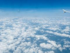 -皖北羊肉汤牛肉汤