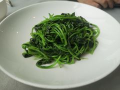 -食神鱼头佛跳墙(百子湾旗舰店)