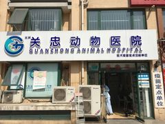 -瑞派·关忠动物医院·猫专科·犬专科(三环新城店)