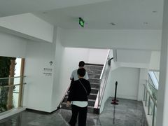 -WFC会仙楼观景台
