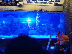 -成都浩海立方海洋公园