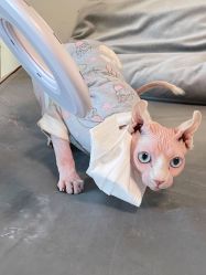 -Pink You美甲洗眉纹绣定制中心