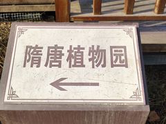 -洛阳市隋唐城遗址植物园