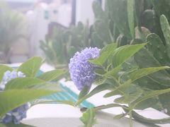 -几静cafe(基湖店)