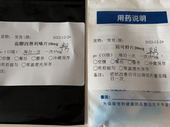 -美联众合动物医院·24h转诊中心