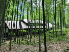-祁门牯牛降观音堂风景区