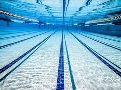 -同济大学四平路校区游泳馆