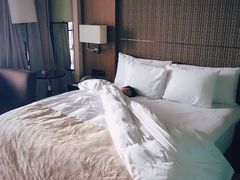 -上海滴水湖皇冠假日酒店