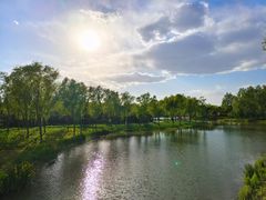 -东郊湿地公园