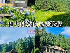 -武陵山森林公园
