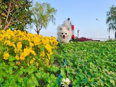 -苏州太湖国际会议中心