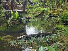 -绿光森林餐厅